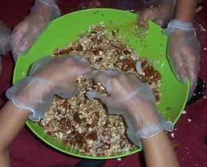 Peanut Free Granola Bar Challenge