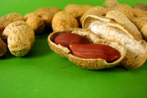 Peanut Allergy – Peanut Allergies