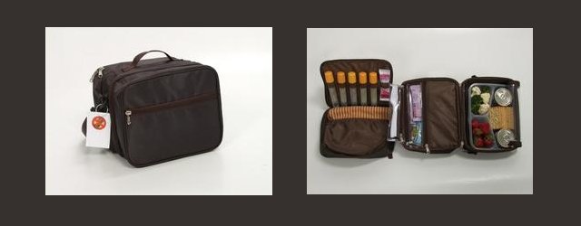 Travel Bag for Food Allergies Travel Bag for Food Allergies