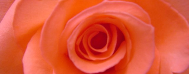 Valentine’s Day Tips and Ideas Valentine’s Day Tips and Ideas