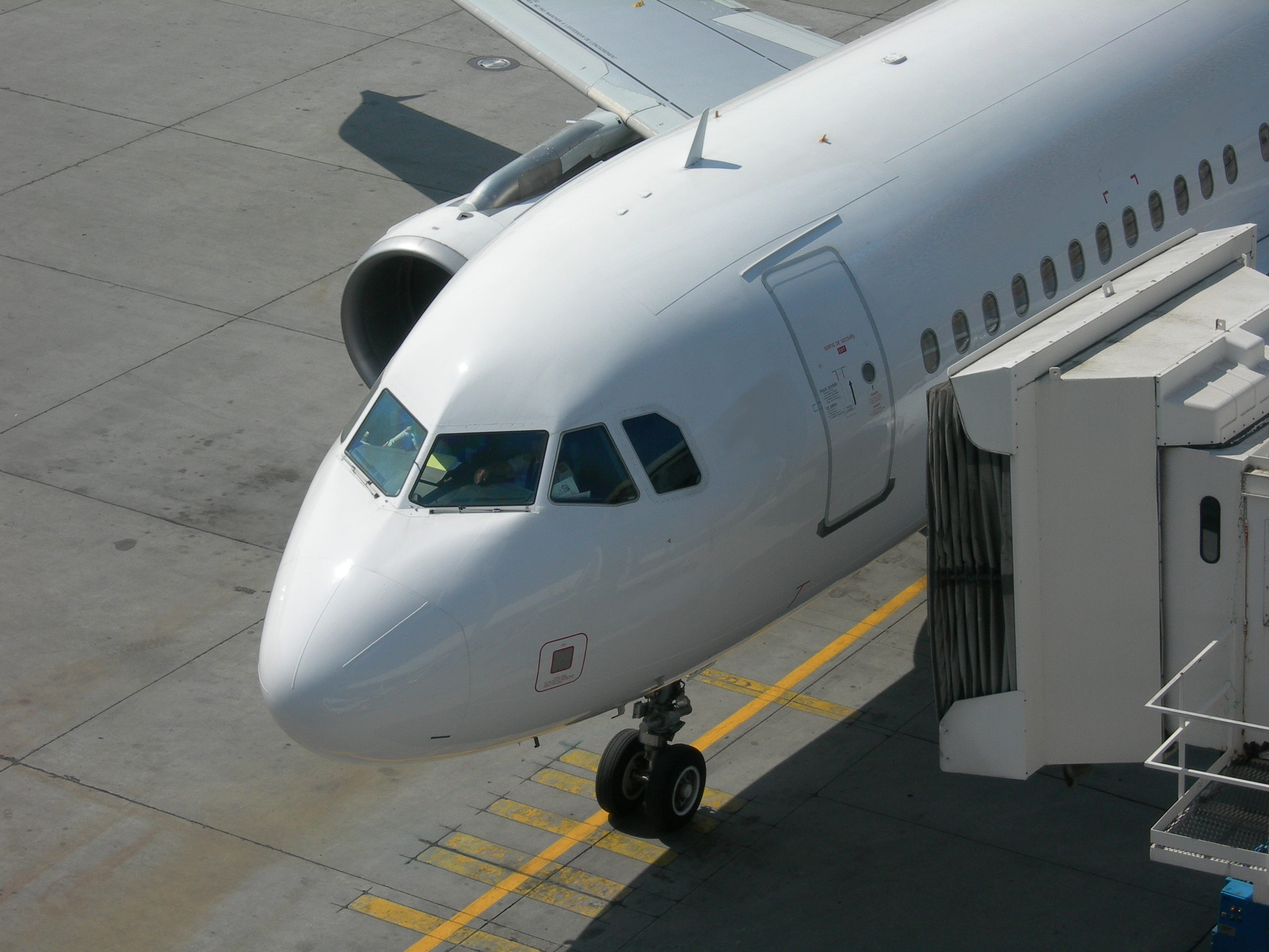 Food Allergy Travel Tips Food Allergy Travel Tips