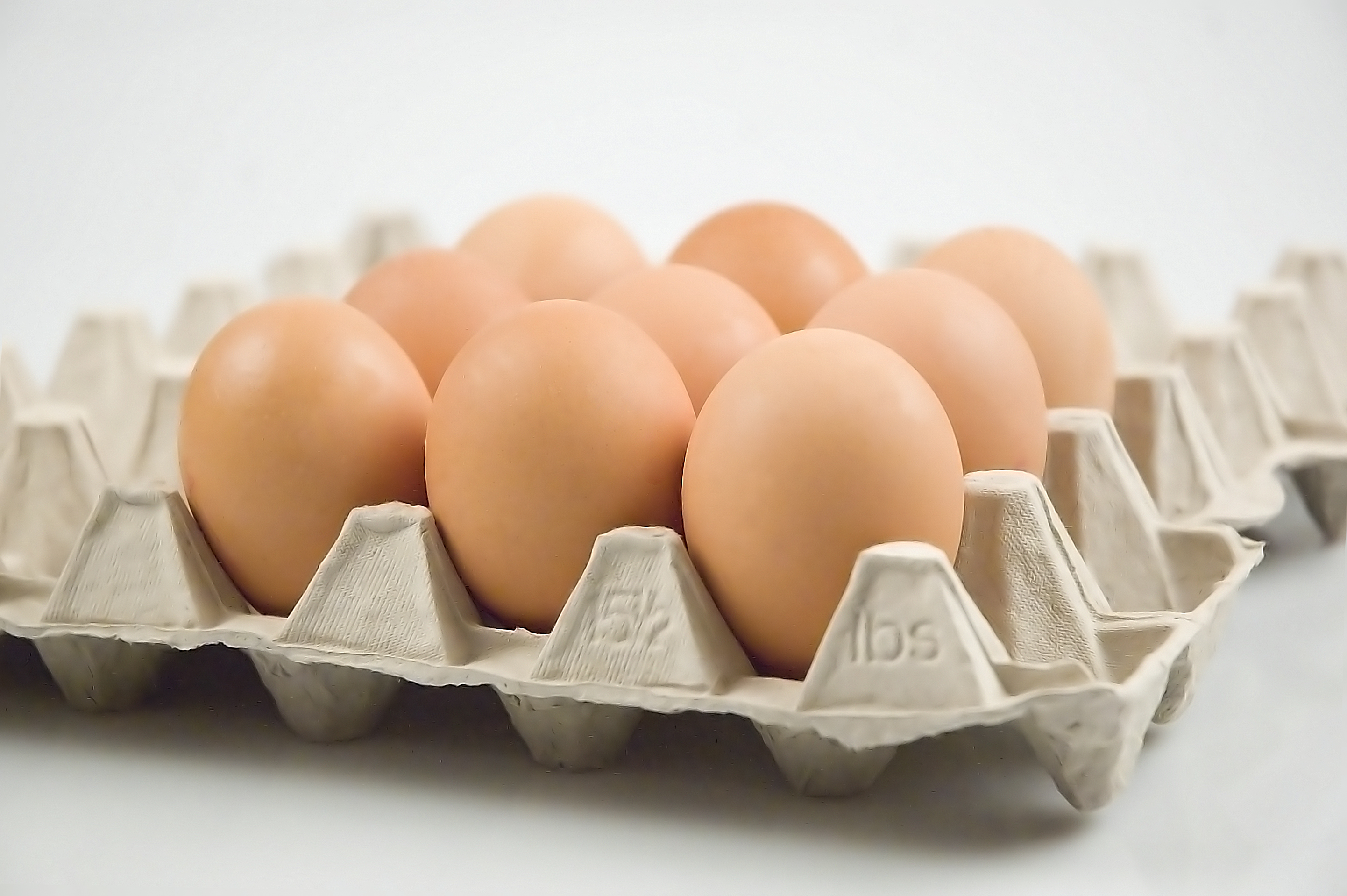 Egg Allergy Information