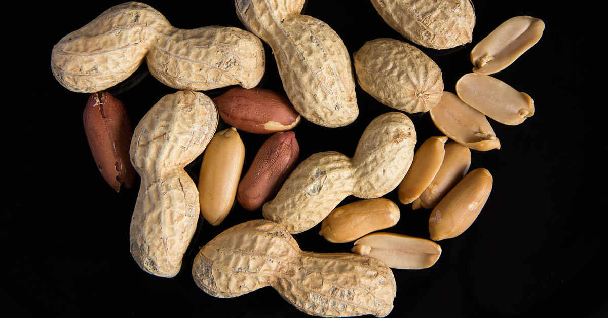 Breakthrough Treatment Provides Long-term Cure for Peanut Allergies