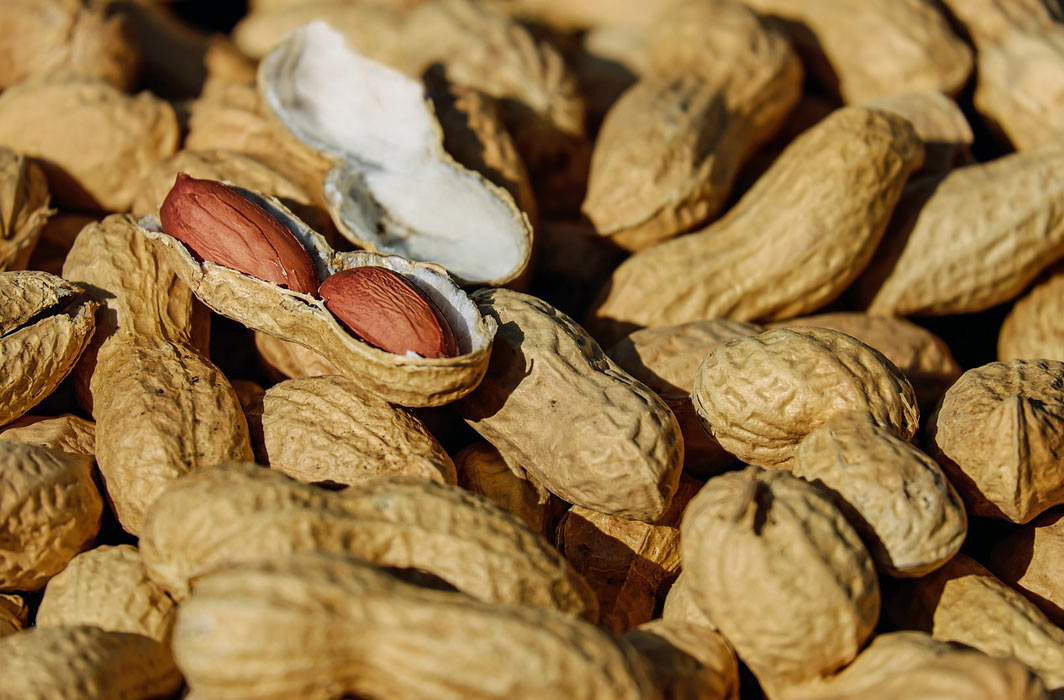 Gene Therapy Study Protects Against Peanut Allergy