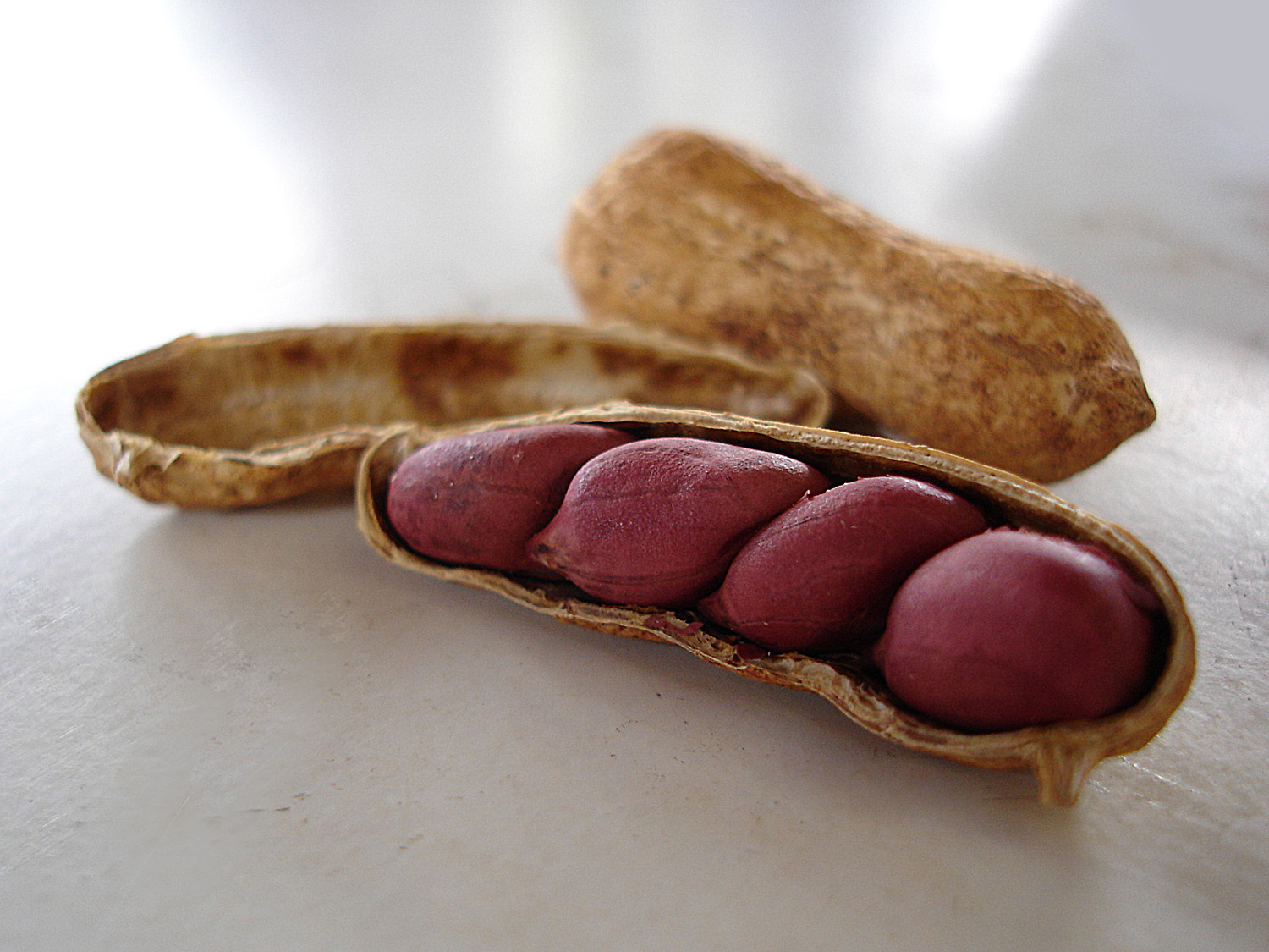 Peanut Oral Immunotherapy Update Peanut Oral Immunotherapy Update